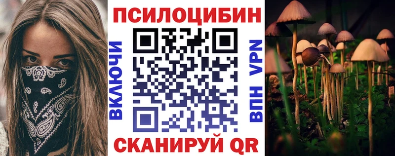 наркошоп  Ардатов  Псилоцибиновые грибы MAGIC MUSHROOMS 